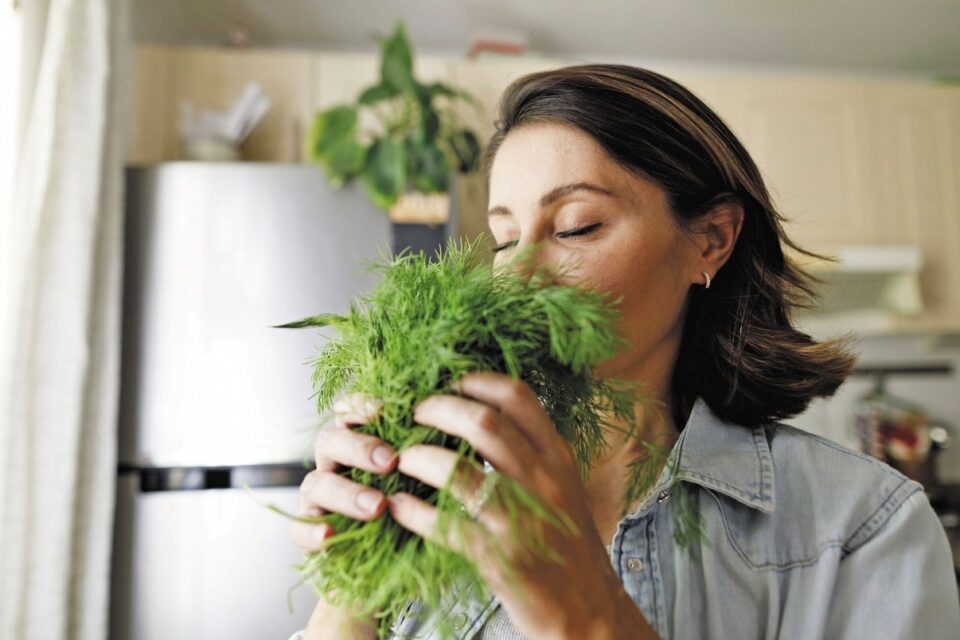 Rozmarýn může zlepšit paměť až o 75 procent