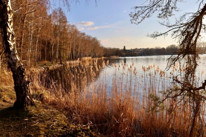 Turyňský rybník - Trasa kolem Záplav a tipy na výlet