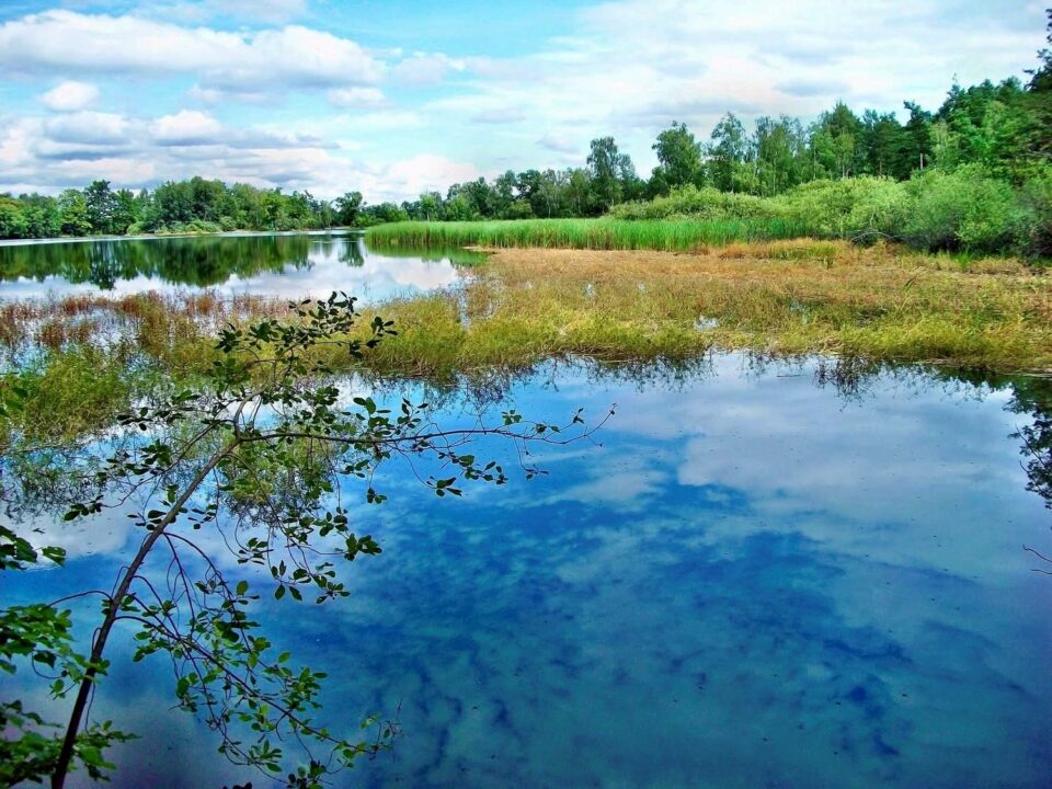Veselí nad Lužnicí–Frahelž - Krásná trasa kolem rybníků